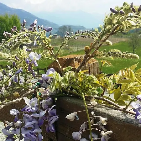 Bed & Breakfast Le Renard D'introd
