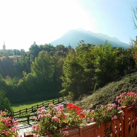 Le Renard D'introd 因特罗德