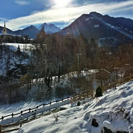 Le Renard D'introd Introd