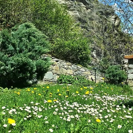 Le Renard D'introd Introd