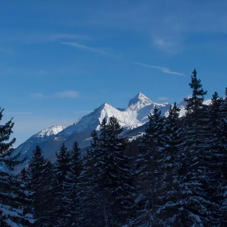 Le Renard D'introd 因特罗德