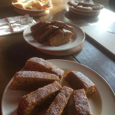 Le Renard D'introd 3* Introd