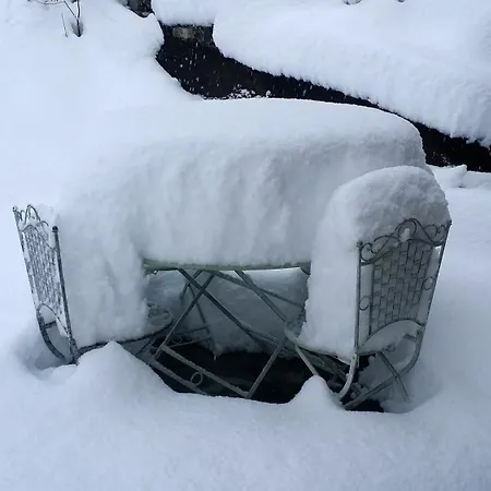 Le Renard D'introd 인트로드