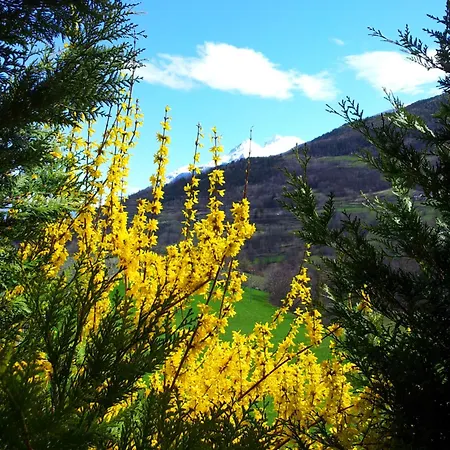 Le Renard D'introd Nocleg ze śniadaniem 3*