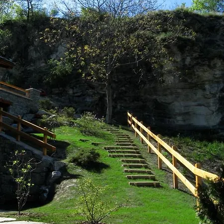 Le Renard D'introd 3*