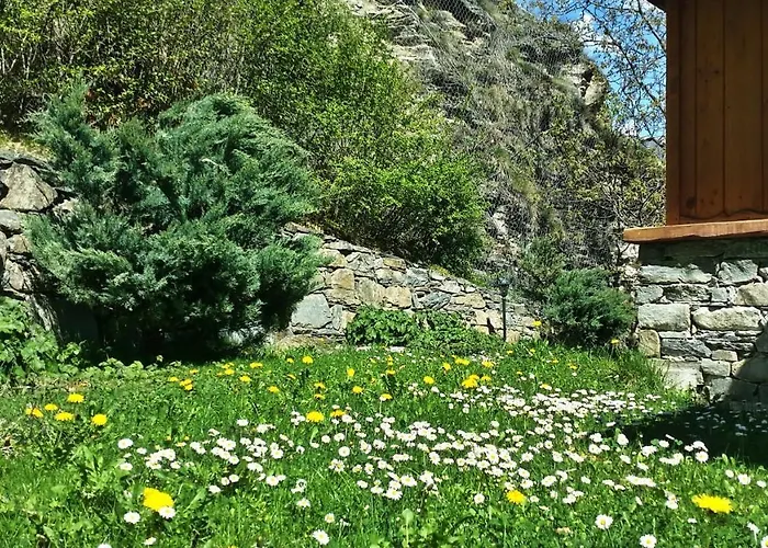 Le Renard D'introd 인트로드