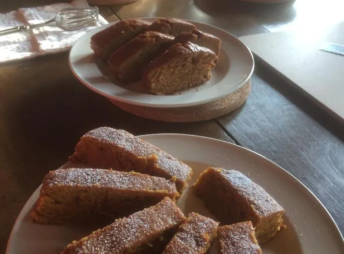 Le Renard D'introd 3* 인트로드