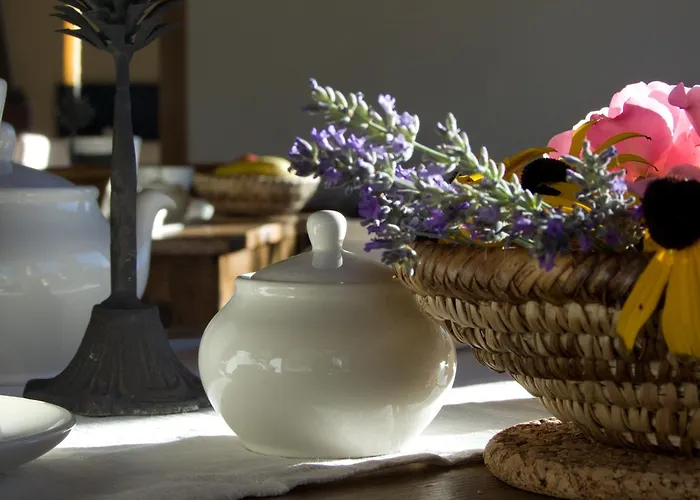 B&B Le Renard D'introd 인트로드