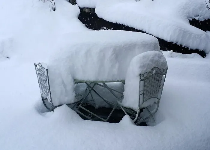 Le Renard D'introd Introd